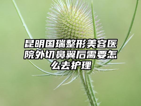 昆明国瑞整形美容医院外切鼻翼后需要怎么去护理