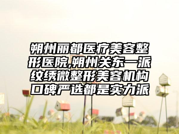 朔州丽都医疗美容整形医院,朔州关东一派纹绣微整形美容机构口碑严选都是实力派