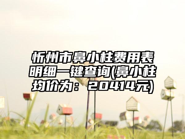 忻州市鼻小柱费用表明细一键查询(鼻小柱均价为：20414元)