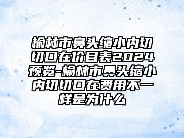 榆林市鼻头缩小内切切口在价目表2024预览-榆林市鼻头缩小内切切口在费用不一样是为什么