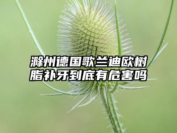 滁州德国歌兰迪欧树脂补牙到底有危害吗