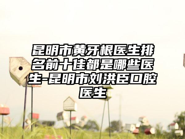 昆明市黄牙根医生排名前十佳都是哪些医生-昆明市刘洪臣口腔医生