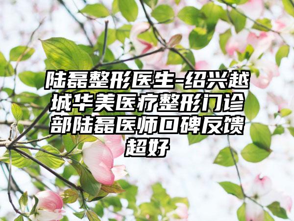 陆磊整形医生-绍兴越城华美医疗整形门诊部陆磊医师口碑反馈超好