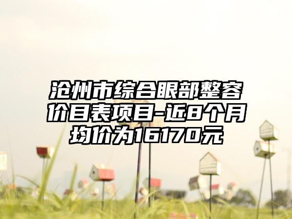 沧州市综合眼部整容价目表项目-近8个月均价为16170元