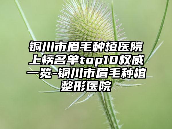 铜川市眉毛种植医院上榜名单top10权威一览-铜川市眉毛种植整形医院