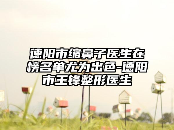 德阳市缩鼻子医生在榜名单尤为出色-德阳市王锋整形医生