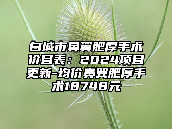 白城市鼻翼肥厚手术价目表：2024项目更新-均价鼻翼肥厚手术18748元