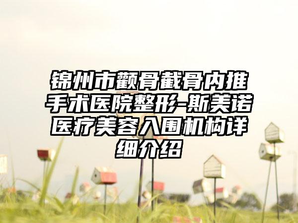 锦州市颧骨截骨内推手术医院整形-斯美诺医疗美容入围机构详细介绍