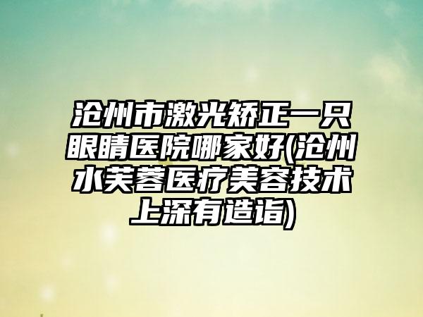 沧州市激光矫正一只眼睛医院哪家好(沧州水芙蓉医疗美容技术上深有造诣)