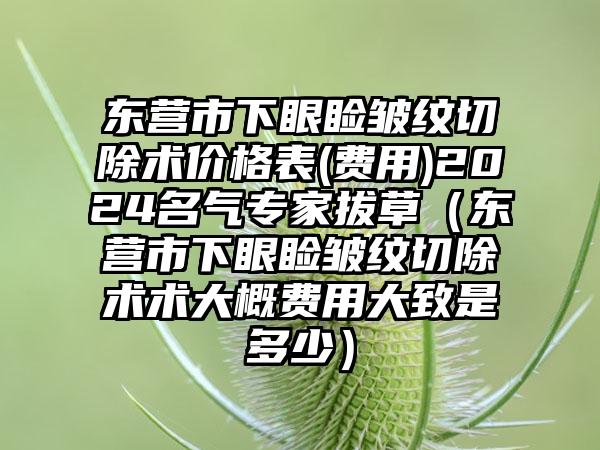 东营市下眼睑皱纹切除术价格表(费用)2024名气专家拔草（东营市下眼睑皱纹切除术术大概费用大致是多少）