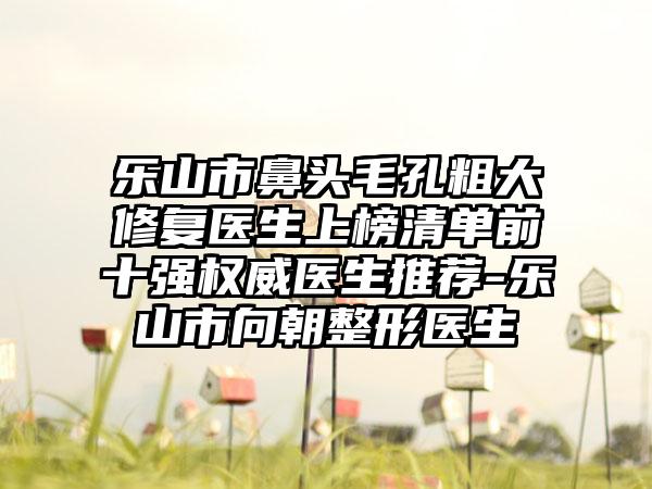 乐山市鼻头毛孔粗大修复医生上榜清单前十强权威医生推荐-乐山市向朝整形医生