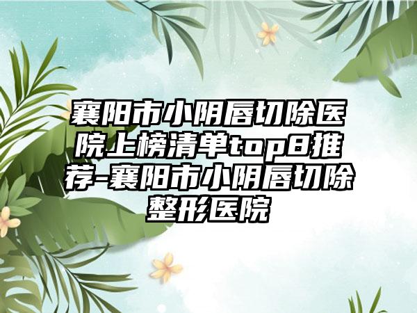 襄阳市小阴唇切除医院上榜清单top8推荐-襄阳市小阴唇切除整形医院