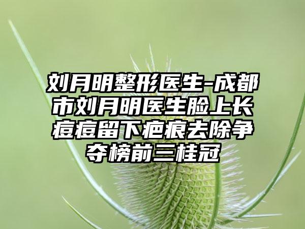 刘月明整形医生-成都市刘月明医生脸上长痘痘留下疤痕去除争夺榜前三桂冠