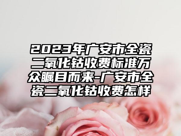 2023年广安市全瓷二氧化钴收费标准万众瞩目而来-广安市全瓷二氧化钴收费怎样