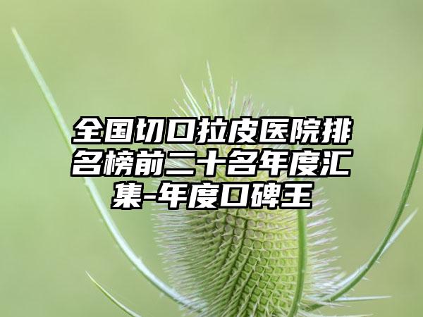 全国切口拉皮医院排名榜前二十名年度汇集-年度口碑王