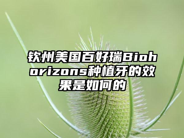 钦州美国百好瑞Biohorizons种植牙的效果是如何的