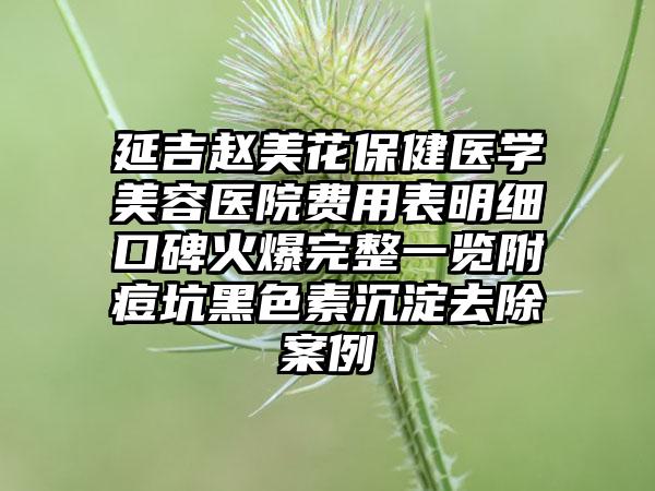 延吉赵美花保健医学美容医院费用表明细口碑火爆完整一览附痘坑黑色素沉淀去除案例