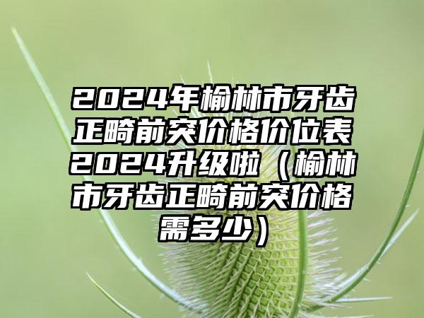 2024年榆林市牙齿正畸前突价格价位表2024升级啦（榆林市牙齿正畸前突价格需多少）