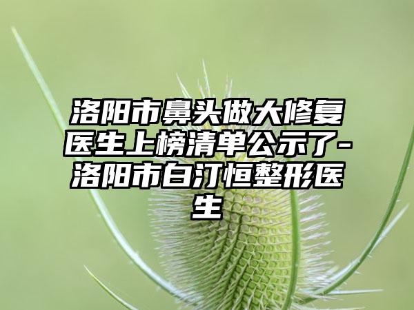 洛阳市鼻头做大修复医生上榜清单公示了-洛阳市白汀恒整形医生