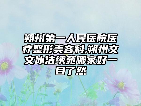 朔州第一人民医院医疗整形美容科,朔州文文冰洁绣苑哪家好一目了然