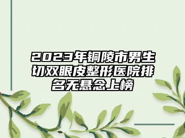 2023年铜陵市男生切双眼皮整形医院排名无悬念上榜