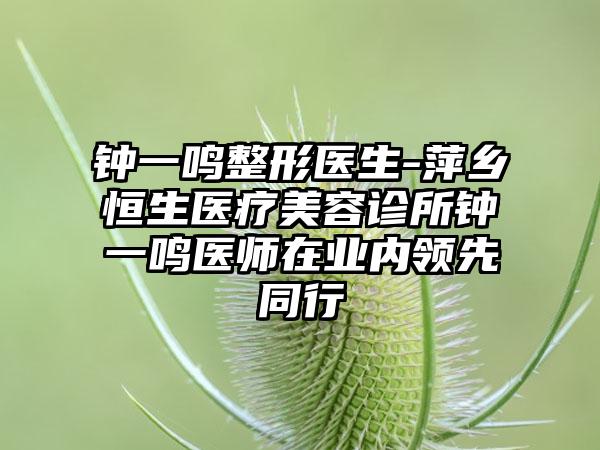 钟一鸣整形医生-萍乡恒生医疗美容诊所钟一鸣医师在业内领先同行