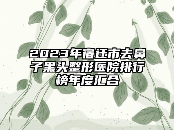 2023年宿迁市去鼻子黑头整形医院排行榜年度汇合