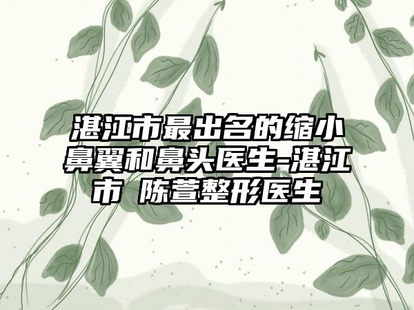 湛江市最出名的缩小鼻翼和鼻头医生-湛江市​陈萱整形医生