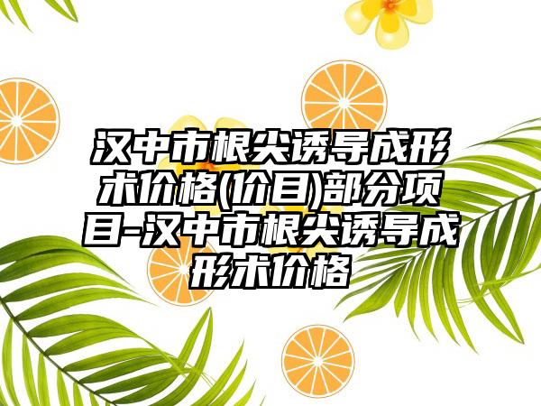 汉中市根尖诱导成形术价格(价目)部分项目-汉中市根尖诱导成形术价格