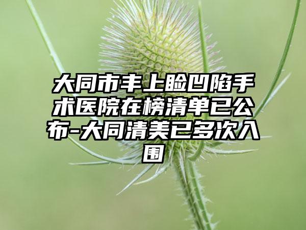 大同市丰上睑凹陷手术医院在榜清单已公布-大同清美已多次入围