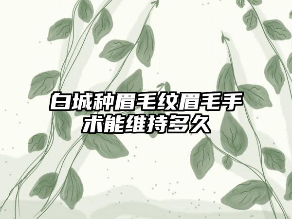 白城种眉毛纹眉毛手术能维持多久