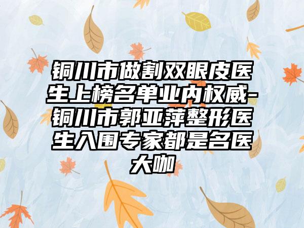 铜川市做割双眼皮医生上榜名单业内权威-铜川市郭亚萍整形医生入围专家都是名医大咖