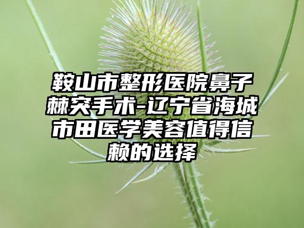 鞍山市整形医院鼻子棘突手术-辽宁省海城市田医学美容值得信赖的选择