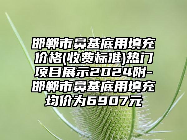 邯郸市鼻基底用填充价格(收费标准)热门项目展示2024附-邯郸市鼻基底用填充均价为6907元