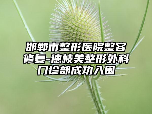 邯郸市整形医院整容修复-德枝美整形外科门诊部成功入围