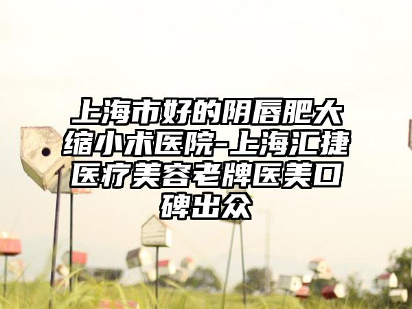 上海市好的阴唇肥大缩小术医院-上海汇捷医疗美容老牌医美口碑出众