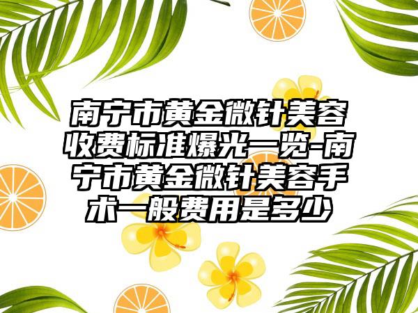 南宁市黄金微针美容收费标准爆光一览-南宁市黄金微针美容手术一般费用是多少