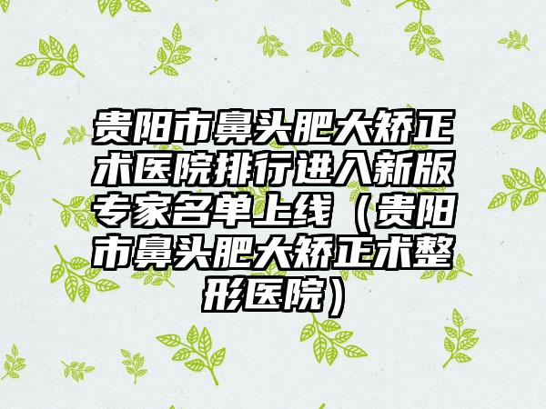 贵阳市鼻头肥大矫正术医院排行进入新版专家名单上线（贵阳市鼻头肥大矫正术整形医院）