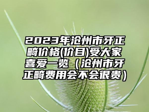 2023年沧州市牙正畸价格(价目)受大家喜爱一览（沧州市牙正畸费用会不会很贵）