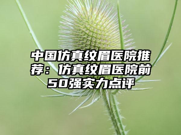 中国仿真纹眉医院推荐：仿真纹眉医院前50强实力点评