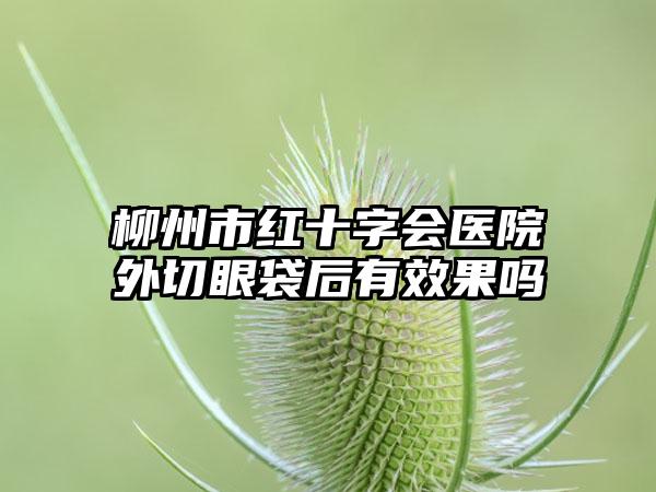 柳州市红十字会医院外切眼袋后有效果吗