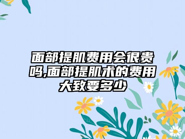 面部提肌费用会很贵吗,面部提肌术的费用大致要多少