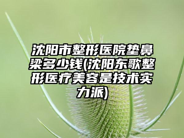 沈阳市整形医院垫鼻梁多少钱(沈阳东歌整形医疗美容是技术实力派)