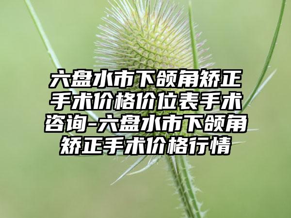 六盘水市下颌角矫正手术价格价位表手术咨询-六盘水市下颌角矫正手术价格行情