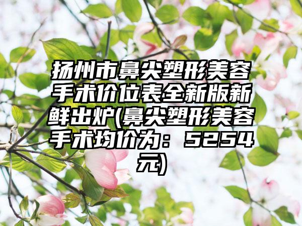 扬州市鼻尖塑形美容手术价位表全新版新鲜出炉(鼻尖塑形美容手术均价为：5254元)