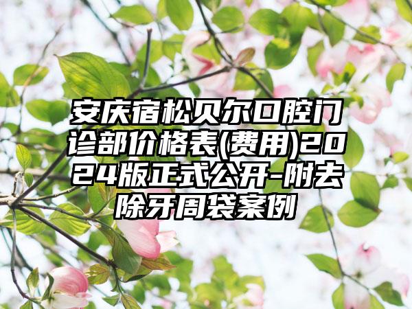 安庆宿松贝尔口腔门诊部价格表(费用)2024版正式公开-附去除牙周袋案例