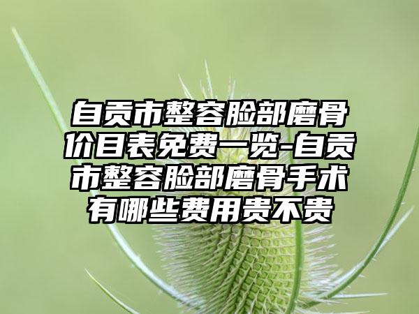 自贡市整容脸部磨骨价目表免费一览-自贡市整容脸部磨骨手术有哪些费用贵不贵