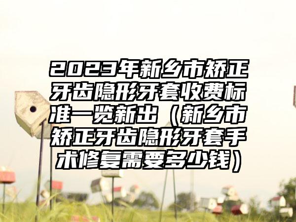 2023年新乡市矫正牙齿隐形牙套收费标准一览新出（新乡市矫正牙齿隐形牙套手术修复需要多少钱）