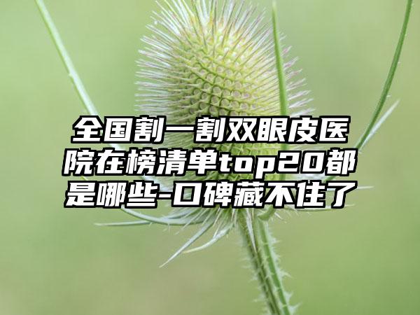 全国割一割双眼皮医院在榜清单top20都是哪些-口碑藏不住了