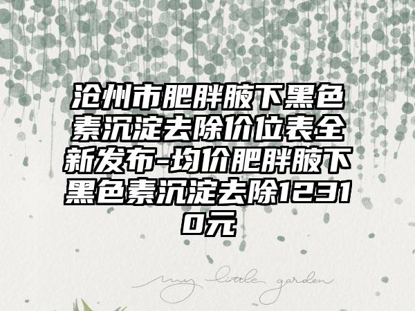 沧州市肥胖腋下黑色素沉淀去除价位表全新发布-均价肥胖腋下黑色素沉淀去除12310元